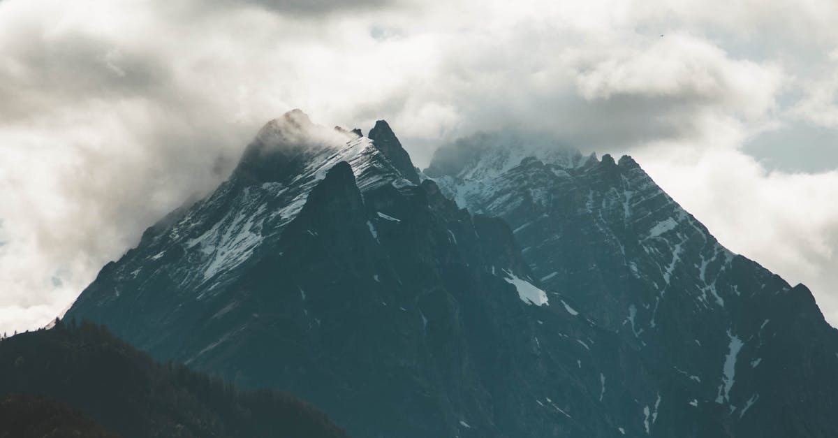 Burst Pipe Repair Services in Padstow Heights  