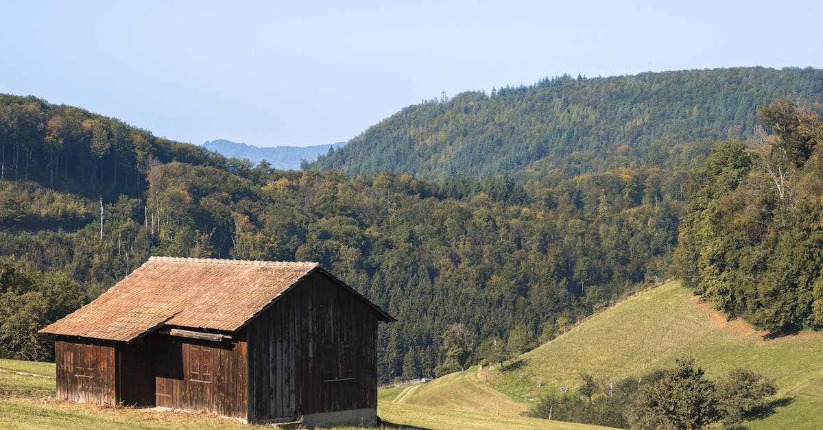 Essential Plumbing Tools Every Homeowner Should Have