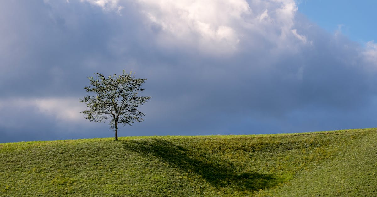 How do I stop being scammed by a plumber?