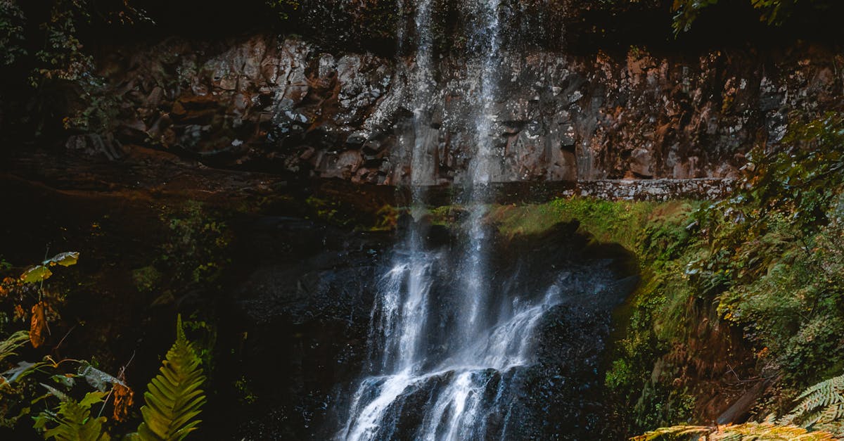 How much do plumbers charge to change a tap?