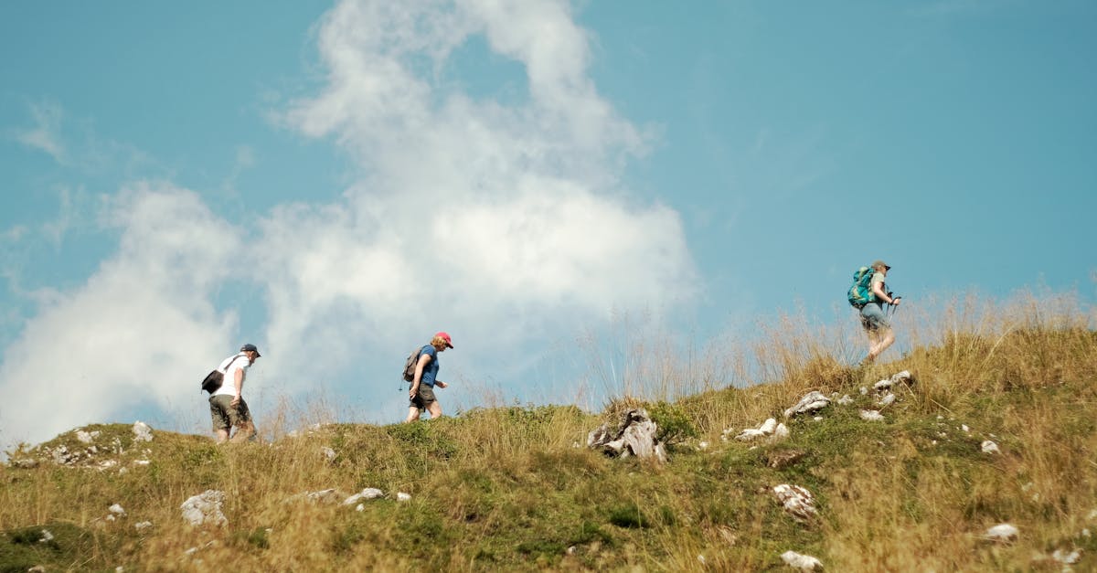 How much do plumbers charge to change a tap?