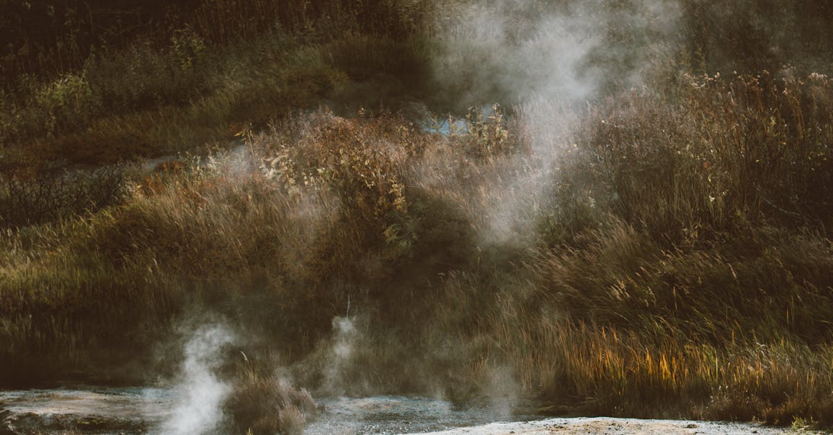 How to clean a hot water system?