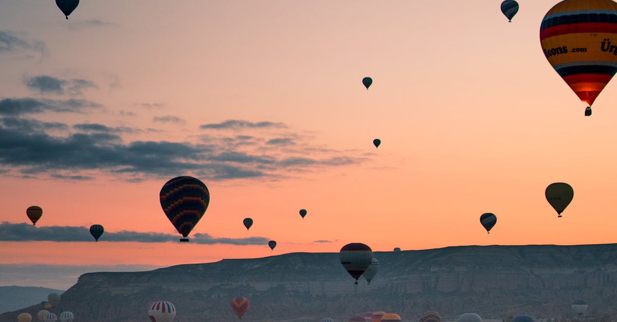 Leak Detection and Repair in Revesby Heights  