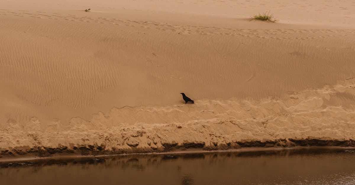 Paddington, New South Wales