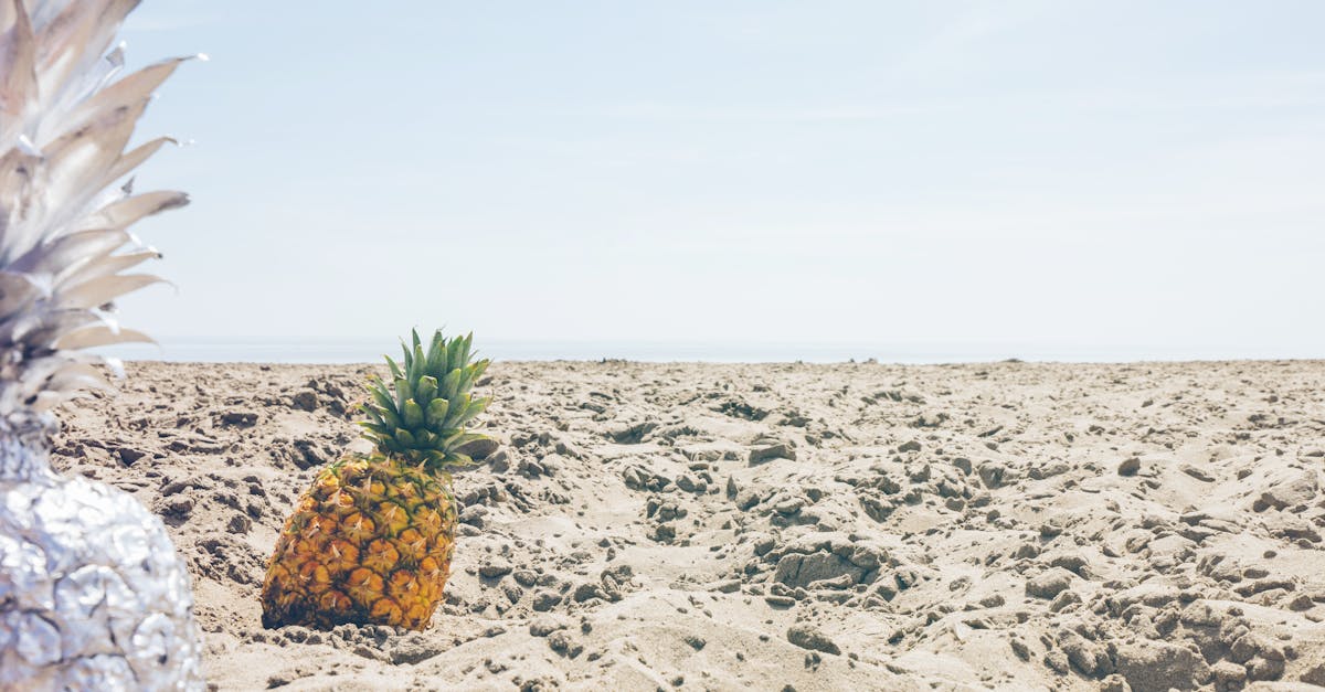 Rockdale, New South Wales