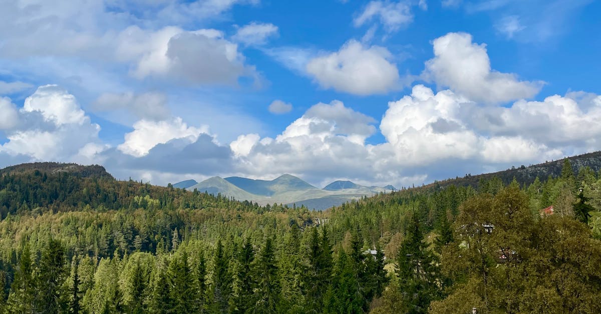 Signs Your Home Needs Plumbing Repairs