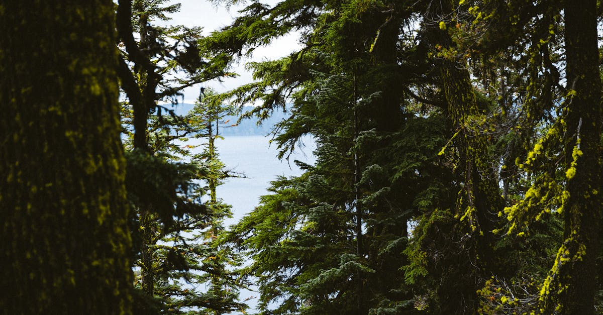 What is a common mistake in plumbing?