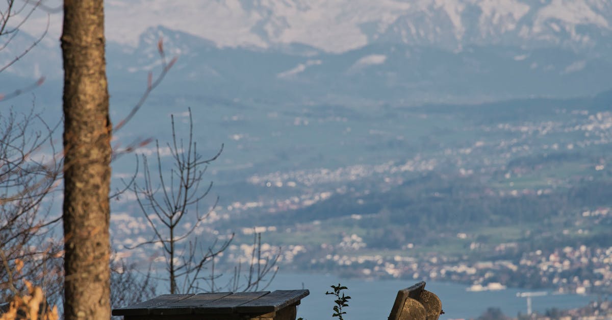 What is the old name for a plumber?