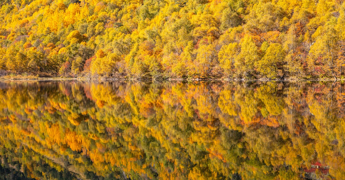 What is the slang word for plumber?