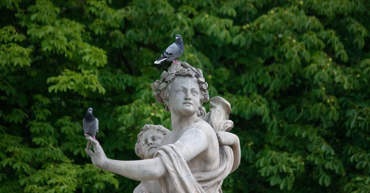 What should a plumber charge?